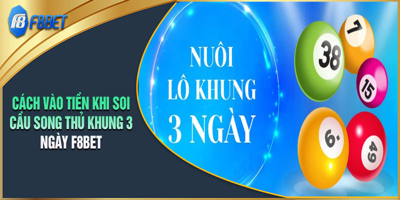 Cách phân bổ tiền khi soi cầu song thủ khung 3 ngày hiệu quả tại F8BET